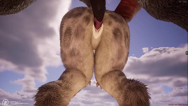 Grandes Wild Life Furry Hentai clips en total