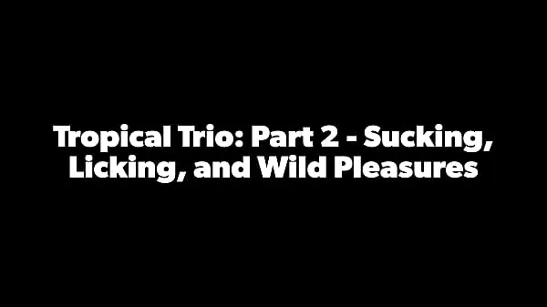 Big Tropicalpussy - update - Tropical Trio: Part 2 - Sucking, Licking, and Wild Pleasures- Jan 03, 2024 total Clips